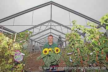 Verkaufsfläche wird fast verdoppelt: Das Gartencenter Tobaben in Harsefeld baut neu - Harsefeld - Kreiszeitung Wochenblatt