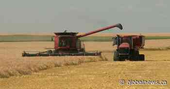 Mixed yields as harvest progresses in Saskatchewan