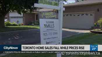 Business Report: Toronto home sales falling - CityNews Toronto