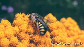 How to Embrace a Natural Color Palette in Your Designs