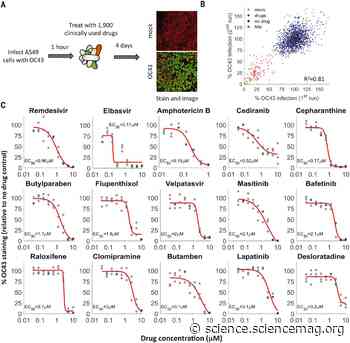 Masitinib is a broad coronavirus 3CL inhibitor that blocks replication of SARS-CoV-2 - Science Magazine