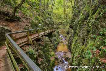 Würflach: Johannesbachklamm wird attraktiverer Einstieg spendiert - Neunkirchen - meinbezirk.at