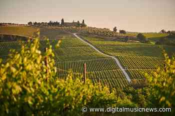 Sting Says He Was Duped Into Buying Tuscan Wine-making Estate