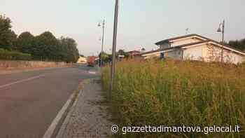 Proteste per l'erba alta in alcune zone di Castel Goffredo, Prignaca: «Pochi fondi» - La Gazzetta di Mantova