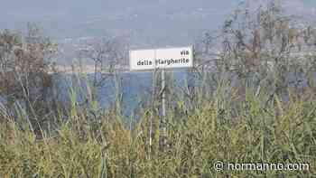 Erba incolta, zecche e topi a Santa Lucia Sopra Contesse. Il M5S: «Situazione critica» - Normanno.com - Normanno.com