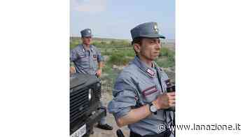 I liquami dell'allevamento di maiali nel campo di erba medica: scatta la maxi multa - LA NAZIONE