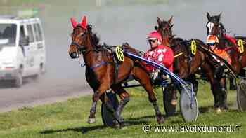 Arras : nos pronostics des sept courses programmées ce dimanche - La Voix du Nord