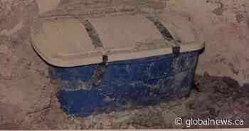 Day parole denied again for man who strangled wife, buried body in their Calgary home