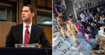 Woman Praises Tom Cotton for Helping Get 'Family' Member Trapped by Taliban to Kabul Airport