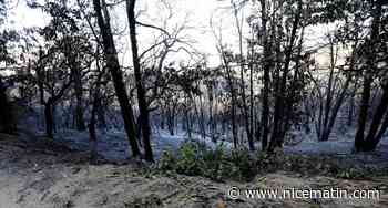 On fait le point ce jeudi soir sur le terrible incendie qui brûle le Var