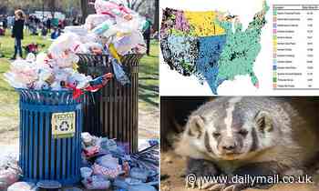 Free food is making urban mammals bigger and fatter than rural mammals, study says