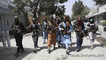 Taliban mocked for video appearing to show them lifting weights in presidential palace