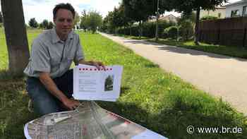 Hitze und Trockenheit: Augsburg testet klimaresistente Bäume - BR24