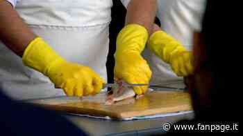 Controlli covid in agriturismo Enna, norme anti contagio rispettate ma lo chef ha 16 anni: maxi multa - Fanpage.it