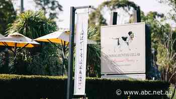 'An absolute joke': Minister apologises as 60,000 businesses await lockdown payments