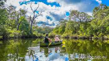 Millennials on niche holidays help tour operators stay afloat