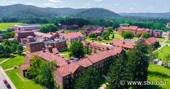 Dr. Megan Walsh appointed acting dean of the School of Arts & Sciences at St. Bonaventure - sbu.edu