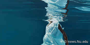 FSU Museum of Fine Arts presents 'A Shared Body' - Florida State News