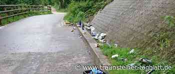 Spuren nächtlicher Feiern sorgen für Ärger unter den Anliegern - Traunsteiner Tagblatt