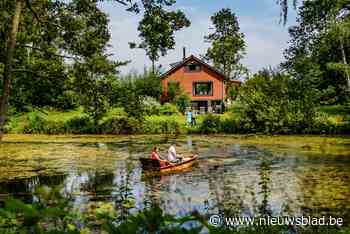 Binnenkijken in grootvaders groene cocon: “Een droom die hij 55 jaar geleden omzette in een prachtige natuurparel” - Het Nieuwsblad