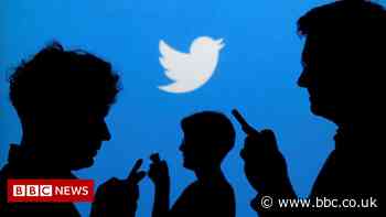 Twitter tests 'misleading' post report button for first time