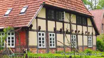 Kulturwoche im Zeichen der Landwirtschaft auf „KunstHof Bockhorn“ in Sulingen - kreiszeitung.de