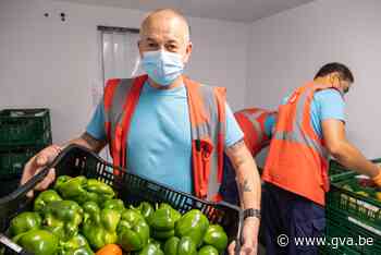 Foodsavers krijgt 2,8 miljoen euro: vraag naar voedselhulp m... (Antwerpen) - Gazet van Antwerpen
