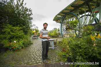 Op bezoek bij Bar Paniek: nieuwe ateliers, een nieuwe horecazaak, een 15-daags festival en wandelen naar Griekenland - Het Nieuwsblad