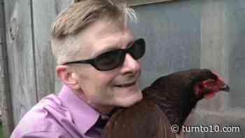 Artie's Antics: Artie Learns about the Rhode Island Red - Turn to 10