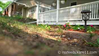 St. Paul to issue watering fines for first time since 1988