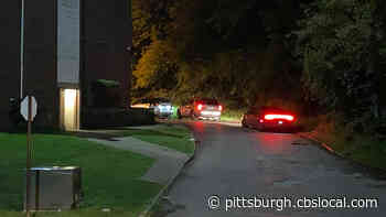 Police Investigating Shooting In At Apartment Complex In Aliquippa