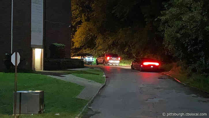 Man Shot And Killed At Valley Terrace Complex In Aliquippa