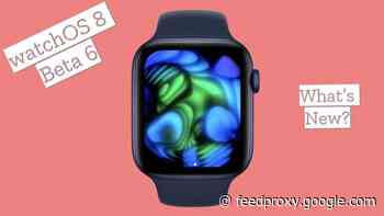What’s new in watchOS 8 Beta 6 (Video)