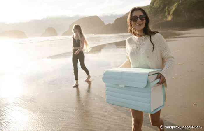 Nutshell sustainable and collapsible cooler made from coconuts