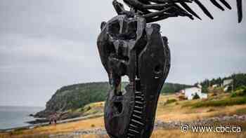 From an oily dinosaur to rethinking John Cabot: Come to N.L.'s most vibrant art exhibition