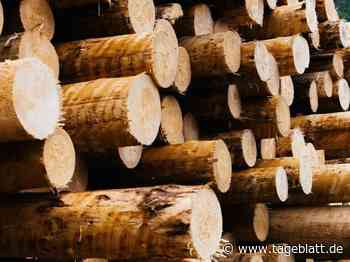 Rohstoffmangel treibt die Preise hoch - Landkreis Stade - Tageblatt-online