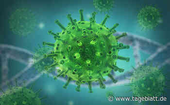 Corona-Inzidenz im Landkreis Stade sinkt deutlich - Landkreis Stade - Tageblatt-online