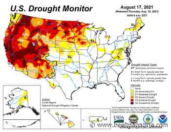 Drought relief far from within reach
