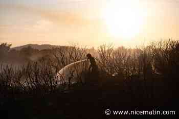 La météo sera-t-elle une alliée pour maitriser l'incendie dans le Var? Voici les prévision des prochains jours