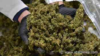 Federal cannabis legalization must address medical use - STAT - STAT