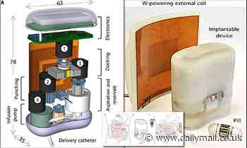 Implanted insulin pump is refilled with magnetic capsules that you swallow