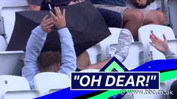 One-Day Cup: A member of the crowd stumbles over attempting a catch