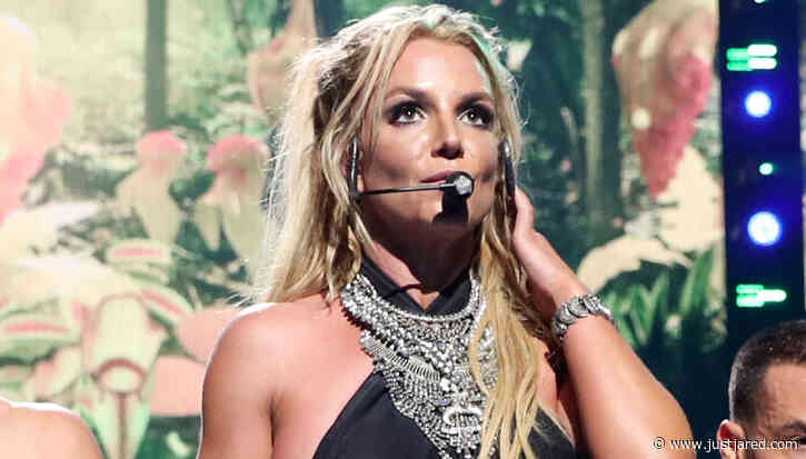 Britney Spears' Dogs Taken Away From Her (Report)