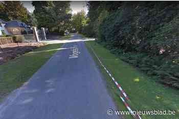 Inbrakenplaag in buurt Vogelsanck halt toegeroepen