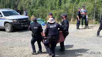 Tension with police escalating at old-growth logging blockades on Vancouver Island, protesters say