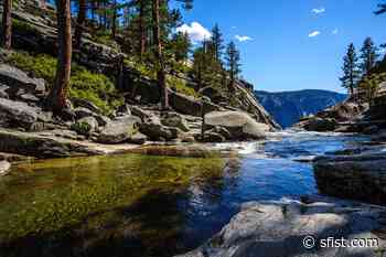 Friday Morning Headlines: Death of NorCal Family in Sierra National Forest Possibly Linked to Toxic Algae Bloom - SFist