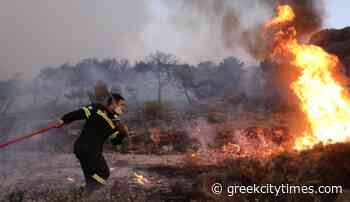 Blaze Decimating Pine Forest For Fifth Day Northwest Of Athens — Greek City Times - GreekCityTimes.com
