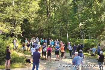 A walk in Reed Road Forest - Coast Reporter