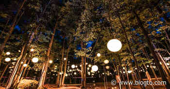 There's a magical trail of lights that weaves through a forest north of Toronto - blogTO