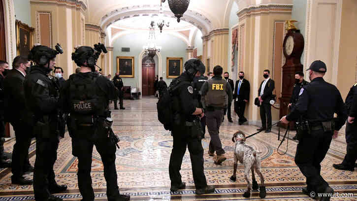Capitol rioter accused of ‘egregiously’ violating release terms by accessing internet & watching symposium on ‘election fraud’
